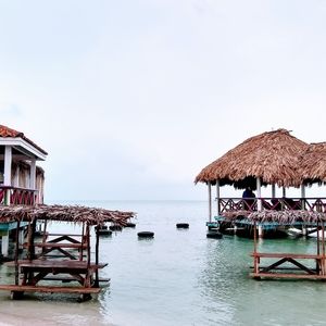 Meet your Posher, Colene